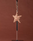 Christmas ornament - Star